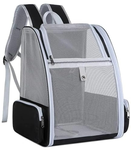 Rucksack für Katze und Hund, Transporttasche für Hunde und Katzen, Transport für kleine Hunde, Flugzeugkoffer, Schwarz