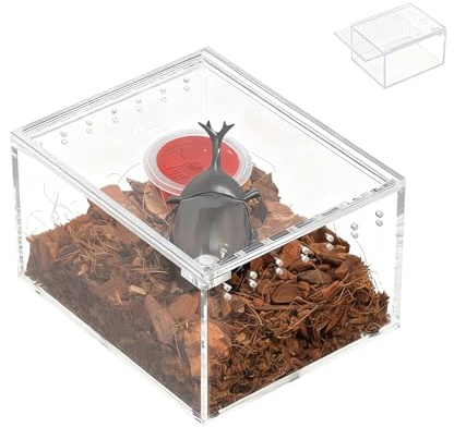 Hábitat para Araña Saltarina - Terrario Transparente para Cría De Geckos | Recinto para Serpientes de Acrílico | para Reptiles Lagartija Serpiente Tortuga Rana Gecko Ermitaño y Contenedor para Araña