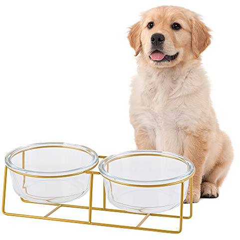 Hundmat och vattenskål – lutade förhöjda hundskålar med metallstativ – hundskålsset i dubbelt glas – upphöjd kattmatningsskål med kräkning – husdjursskål för små till medelstora hundar och stora