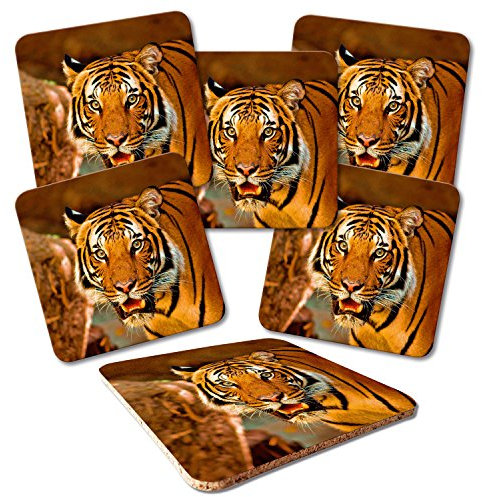 ADDIES Glas-Untersetzer 6-TLG.Set Bedruckt Motiv TIGER-03 in hochwertiger Klarsicht-Geschenkbox und Korkrückseite