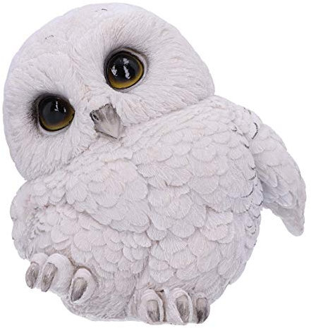 Nemesis Now Feathers U5473T1 Figurine de Chouette des neiges Motif Rotund Blanc 12,5 cm