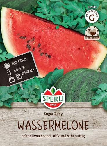 Sperli Wassermelonensamen Sugar Baby 81550 – schnellwachsend, süß und sehr saftig - Inhalt für 18 Pflanzen - Gemüsesamen, Samen Gemüse, Saatgut