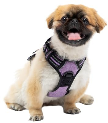 Ferplast Hundegeschirr kleine Hunde, 2 Haken für maximale Kontrolle, Anti-Zug-Hundegeschirr, Verstellbar, Reflektierend und Atmungsaktiv, Hundegeschirr ideal für das Training S, lila