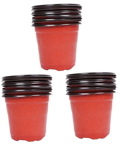BESPORTBLE 3 Series Macetas De Plántulas De Vivero Olla A Lento Suculento Macetas Grandes Bol Perlita para Plantas De Interior Cajas Suculentas Dejar Olla Rojo 60 Piezas X 3