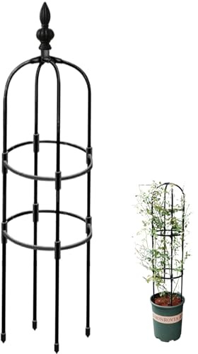 Traliccio per obelisco da giardino Obelisco da giardino 47 pollici Obelischi per piante rampicanti Traliccio per antiruggine Facile da installare Supporto per piante rampicanti Telaio per pia