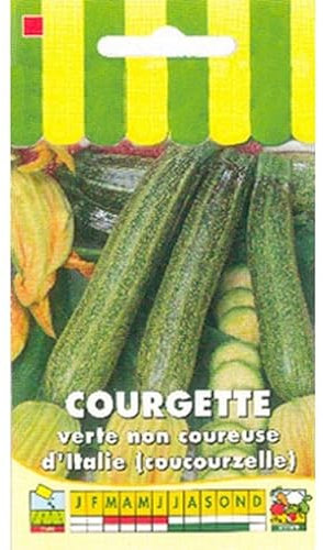 Sachet de graines de Courgette verte non coureuse d'Italie - 5 g - légume fruit - LES GRAINES BOCQUET