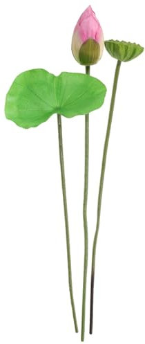HOLIDYOYO 1satz Künstliche Lotusblume Dekoration Teiliges Mit Blüte Und Lotus Für Teich Garten Wohnraum Realistisches Design Aus Hochwertigem Pflegeleicht Und Langlebig