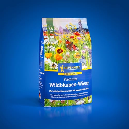 Kiepenkerl Premium Wildblumenwiese 1089072 - Naturnahe Blumenmischung für Biodiversität - 0,25 kg für 40 m² - Bunte Blumensamen - Rasensamen, Wildblumen
