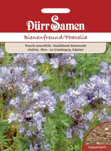 Dürr-Samen - Gründüngung Phacelia/Bienenfreund 400 g Saatgut
