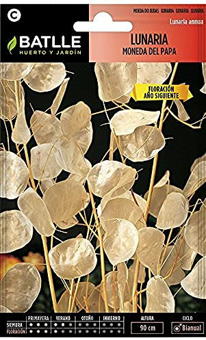 Batlle - Semi di Fiori lunaria Moneta del Papa