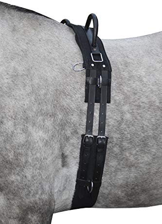 HKM 12701 Longiergurt Canvas, Fester Doppelgriff Longierbedarf Schwarz Shetty, 1 Stück (1er Pack)