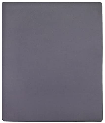vidaXL Lenzuola con Angoli Jersey 2 pz Antracite 180x200 cm Cotone