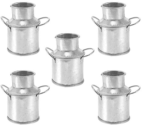 FOMIYES Accessoires 5 Pièces Mini Pot De Lait Rétro Galvanisé Pot À Lait À Fleur en Métal De Ferme Vintage Pots De Fleurs Miniatures Paysage Miniature Décor De Pot De Fleur Vase