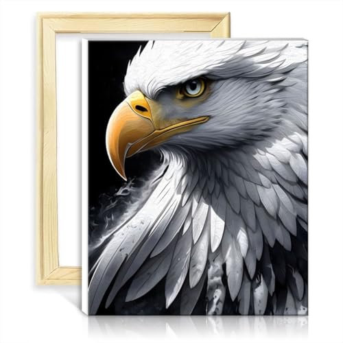 LiHEQING Ölgemälde auf Leinwand, Weißer Adler, Portrait, DIY digitales Ölgemälde-Kit auf Leinwand, Graffiti-Liebhaber-Bild, ohne Rahmen (30 x 40 cm)
