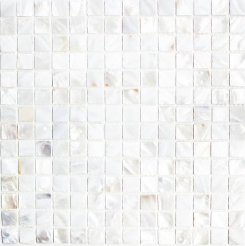 Mosaik Fliese Muschel perlmutt für WAND BAD WC DUSCHE KÜCHE FLIESENSPIEGEL THEKENVERKLEIDUNG, Mattengröße: 305x305 = 0,09 qm, Steingröße: 20x20x2 mm - 1 Matte