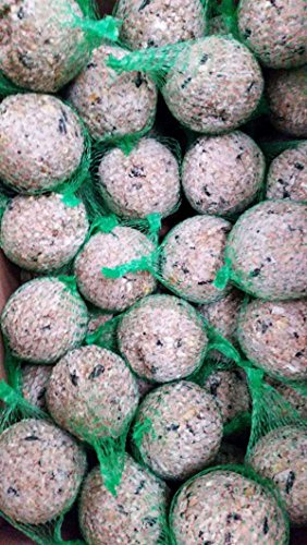 Elles Meisenknödel (120 St) im Eimer mit Netz Ganzjahresfutter