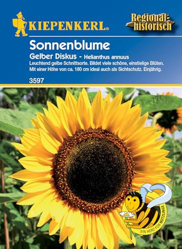 Kiepenkerl Profi-Line Sonnenblumensamen Gelber Diskus 3597, Beliebte Schnittblume, Nahrungsquelle für Nützlinge, Ideal für den Schnitt, Sonnenblumen, Blumensamen für 20 Pflanzen