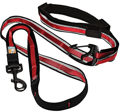 Kurgo Quantum 6-in-1 Hundeleine, Vielseitig einsetzbar, Mit reflektierenden Streifen, Verlängerbar von 122 - 183 cm, Himbeere
