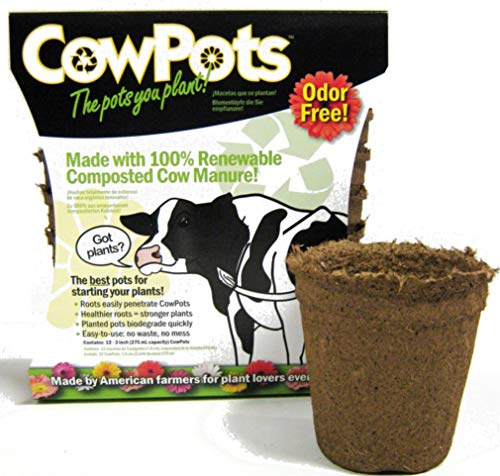 CowPots 3 Round Cow Pot Planter (12 Pack)