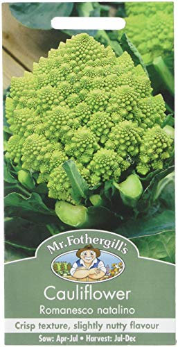 Mr Fothergill's 18800 Vegetable Seeds, Cauliflower Romanesco natalino