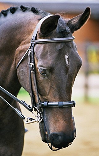 equilibrium Net Relief - Maulkorbnetz Cob/Horse - Schwarz