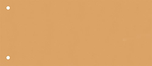 Brunnen 106604040 Trennstreifen (10,5 x 24 cm quer, aus Karton, gelocht, 100 Trennstreifen) orange