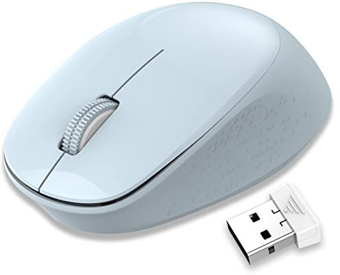 LeadsaiL Souris sans Fil 2,4 G silencieuse avec récepteur USB, Suivi Optique 1600 DPI, 3 Boutons, pour gauchers et droitiers, Compatible avec PC, Mac, Ordinateur Portable, Windows - Bleu Clair