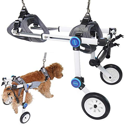 PJDDP Rollstuhl Für Hunde, 2 Räder Einstellbare Gehhilfe Hundegehilfe Rollwagen,Behinderte Hund Unterstützte Hinterbein-Sportwagen Für Haustiere Rehabilitation Für Hunde, 2–50Kg,XSA