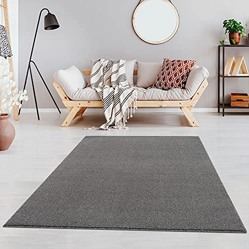 Fashion4Home Teppich Wohnzimmer – Einfarbig, Uni Teppich fürs Kinderzimmer, Schlafzimmer, Arbeitszimmer, Büro, Flur und Küche - Kurzflor, Hellgrau, Größe: 80x150 cm