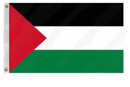 Flagmax - Bandiera della Palestina, 90 x 150 cm
