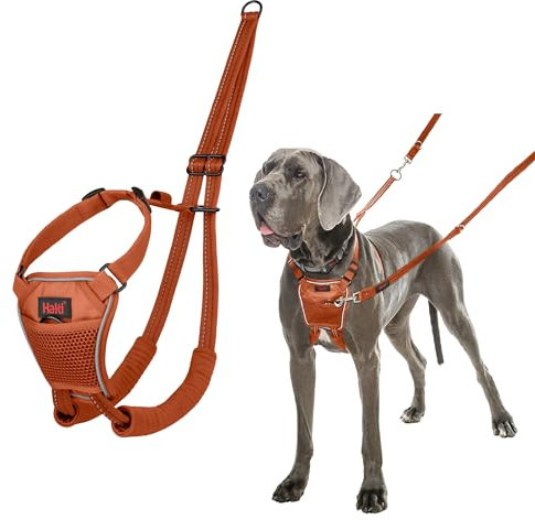 HALTI No Pull Anti-Zug Geschirr - Verhindert, dass Ihr Hund an der Leine zieht, Gepolsterter Brust- und Beingurt, Reflektierendes Gurtmaterial, Einfache Anpassung und Benutzung (Größe L, Dunkelorange)