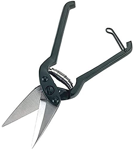 Kerbl Cesoie marciume (Senza Denti)