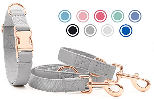Weich Leder Hundehalsband und Leine (2m) Set - 3-Fach Verstellbar Hundeleine mit Halsband, Stilvollen Rose Gold Metall Schnalle & Nylon Hund Leinen für Welpen Kleine Mittlere Große Hunde Grau,L