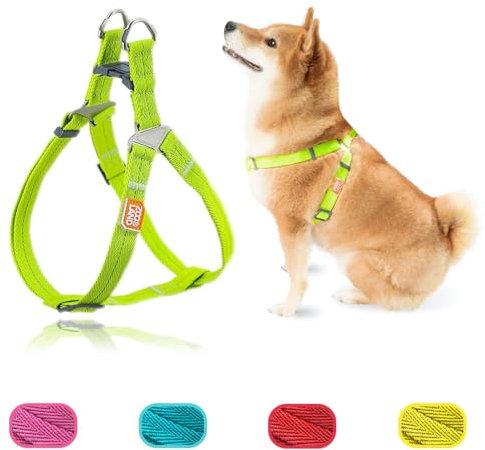 ZOOLAND Anti Zieh Geschirr Hund, Hundegeschirr, einstellbar und sicher mit Metallschnallen, einfache Hundehalfter für kleine, mittelgroße und große Hunde, am für Training und Spaziergänge, Grün M