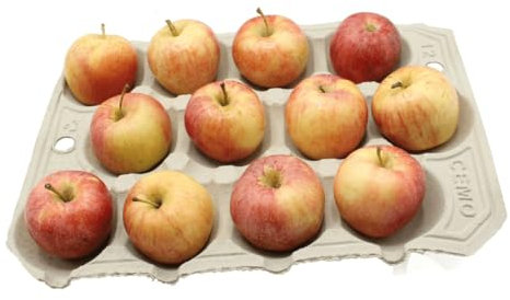 Gardening Naturally Apple Tray Crop Storage Apples Biodegradable (10)