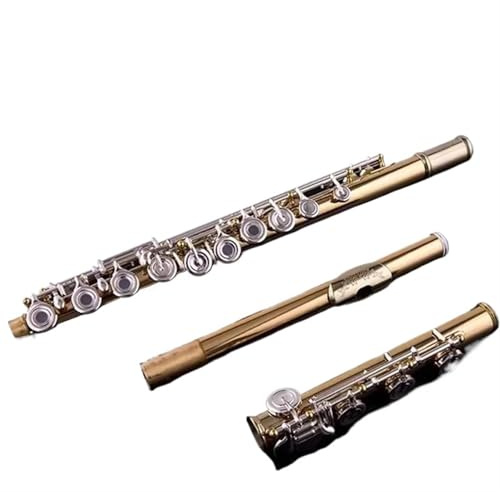 Professionelle Querflöte 17 Tasten Offene Loch Gold Flöte Externe Professionelle Cupronickel Schlüssel C Tune Hand B Fuß Gold Flöte Musical