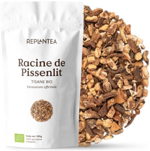 RACINE PISSENLIT BIO 100g (50 Tasses) | Tisane Pissenlit Racine Infusion | Taraxacum officinale REPLANTEA