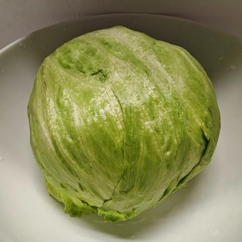 semi di lattuga iceberg, resistenti di lattuga da balcone in serra di antichi, rare verdi da appartamento 50pcs