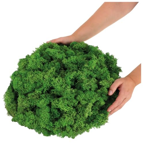 com-four® 500g Deko-Moos - DIY Bastel-Moos - echtes Deko-Moos zum Basteln und Dekorieren - Naturmoos für Bastelprojekte (Deko-Moos - 500g)