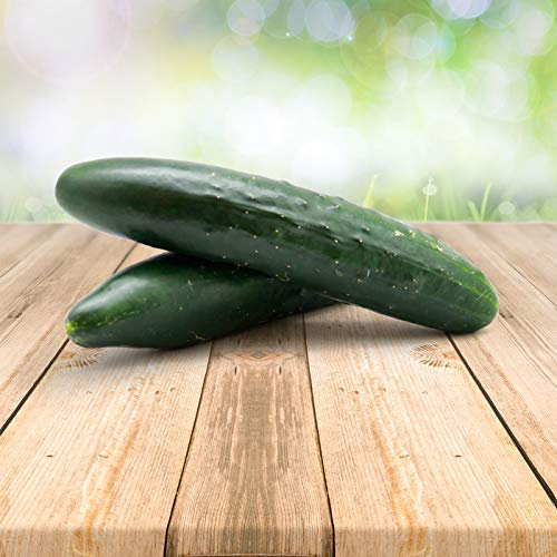 Portugiesische Gurke 25 x Samen - Aus Portugal 100% Natürlich Ohne Chemische Anzuchthilfe Oder Gentechnik, Einfach Nur Natur Pur