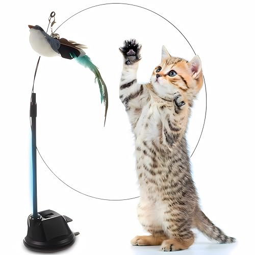 Retoo Kattleksak, självsysselsättning, kattängel med sugkoppar med fågel, kattleksak, set för kattungar och katter, naturligt interaktiv intelligens, sänkbar, stabil, hållbar, S