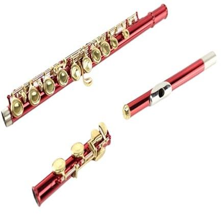 Flöten-Einsteigerinstrument 16-Loch-Profi-Flöte C-Taste
