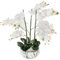 Atmosphera - Orchidée Artificielle - Pot marbré H65 cm