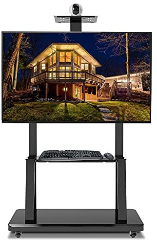 GGZONE Carro rodante de Piso/TV móvil con Ruedas para TV de más de 55 Pulgadas, Soporte de TV Universal Resistente con Estante para cámara, Empresa/Sala de conferencias/Escuela Beautiful Scenery