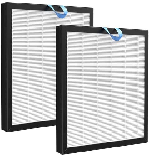 Vital 100S Ersatzfilter kompatibel mit LEVOIT Vital 100S HEPA Luftreiniger, 2 Pack H13 HEPA Filter und Aktivkohlefilter für Vital 100s Modellnummer ‎LAP-V102S-WEU