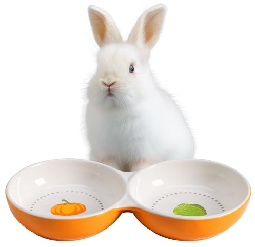 Navaris 2X Fressnapf für Kätzchen Meerschweinchen Hasen - Doppelter Futternapf kleine Katze Keramik - Fressnäpfe für kleine Tiere - Hamster Futternapf Keramik - Kleintier Napf