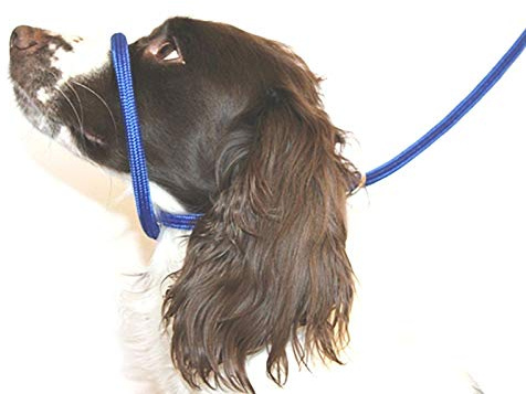 Dog & Field Figure of 8 dog lead anti pull Head Collar & Halter Lead, Soft Braided Nylon No Pull Dog Training Lead, One Size Fits All, 200cm x 10mm (Blue)