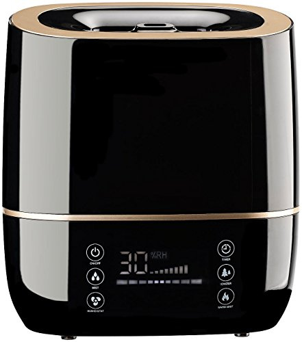 Carlo Milano Nebelmaschine: Luftbefeuchter mit Ionisator LBF-530, 2-stufig kühlender Nebel (Filter-Luftbefeuchter, Hygrometer, Diffuser)