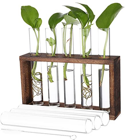 CIMAXIC Wandbehangrohre Zur Anzucht Aus Holzgestell Für Hydrokultur-Pflanzen Tischterrarium Mit Reagenzgläsern Pflanzenterrarium Für Stecklinge Blumenvase Mit Holzständer