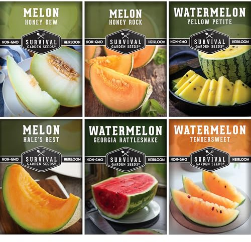 Melon Seeds Variety Pack – 6 Heirloom Cantaloupe, Honeydew & Watermelon Types for Planting – with Honey Rock, Hale’s Best, Tendersweet, Georgia Rattlesnake – Survival Garden Seeds